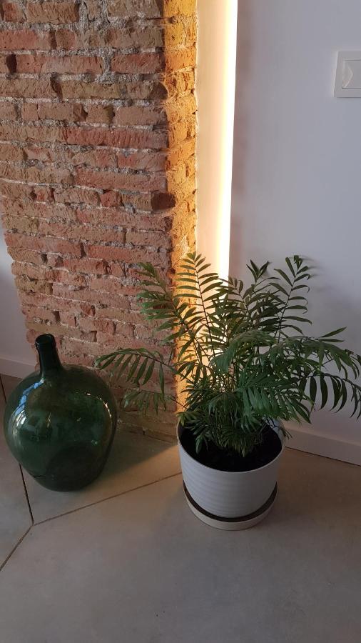 Loft Mariola - Apartamento en el centro histórico Bocairent Exterior foto